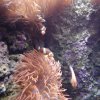 Visita ao Oceanário